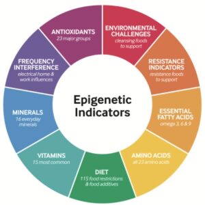 Epigenetic Wellbeing Assessments
